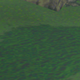 Illustration for article titled 10 Clumps Of Grass In Video Games
